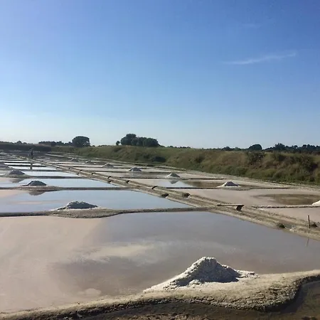 Fleur De Sel, Longere Sans Vis A Vis, En Campagne Tres Proche Et Plages Holiday home Asserac
