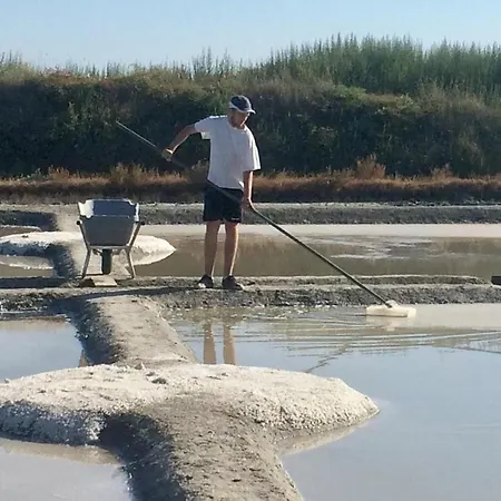 Fleur De Sel, Longere Sans Vis A Vis, En Campagne Tres Proche Et Plages * Asserac