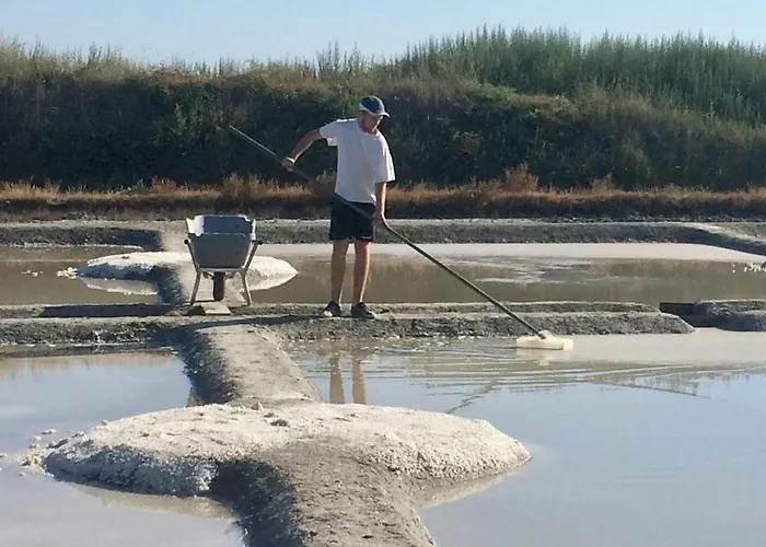 Fleur De Sel, Longere Au Calme , Proche Et Plages * Assérac